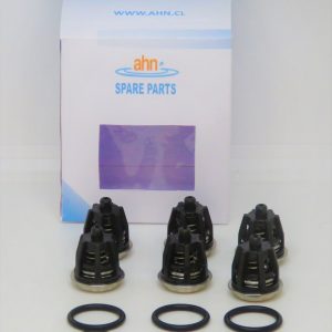 Kit N°1 Valvulas AHNPRO para Interpump
