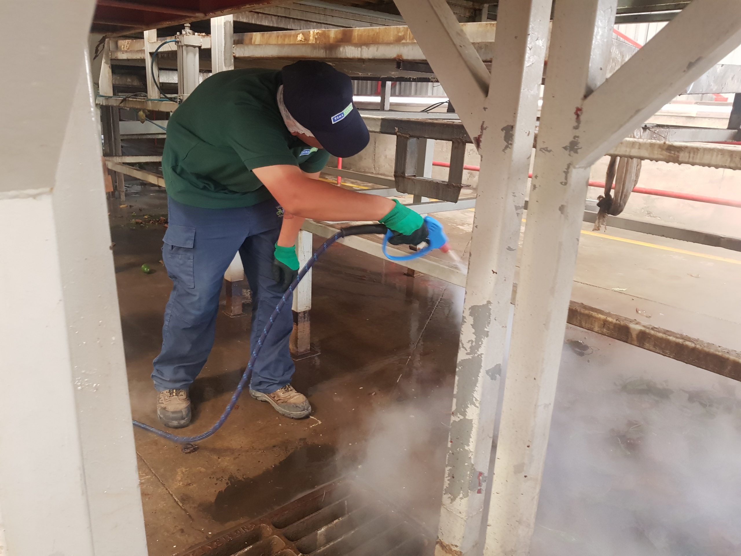 Arriendo Optima Steamer DM 220 volt - Imagen 3